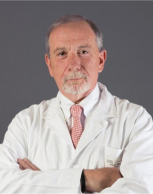 Enrico Gherlone - Top Italian Scientists Wiki